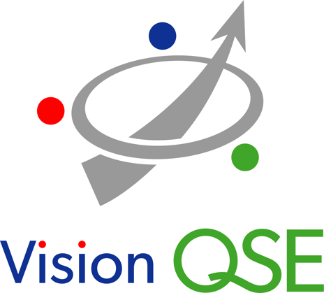 QSE VISION